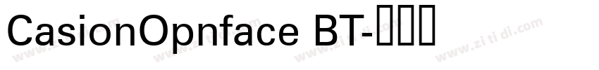 CasionOpnface BT字体转换